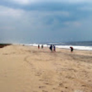 Meet your Posher, Niva